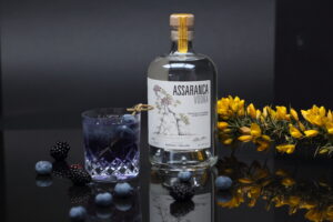 Assaranca Vodka bottle with cocktail glass and yellow gorse flowers
