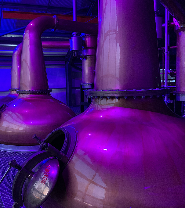 Copper distillery stills illuminated with purple lighting