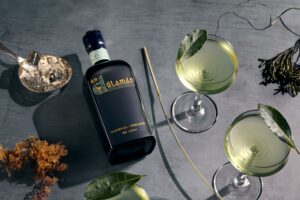 A high-angle, top-down lifestyle photograph of a dark bottle of An Dúlamán Irish Maritime Gin resting on a textured gray surface. The bottle is surrounded by two elegant coupe glasses filled with a light-green cocktail, each garnished with a single dark green leaf. Dehydrated botanicals, a silver bar spoon, and a long, thin garnish stem are scattered artistically around the drinks, creating a moody and sophisticated coastal aesthetic.